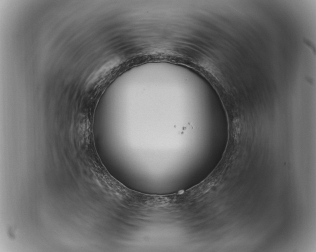 X0000100411111200806131030