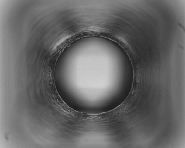 X0000100411112200806131030