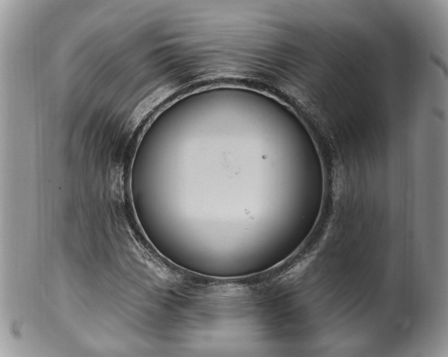 X0000100411113200806131030