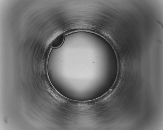 X0000100411114200806131030