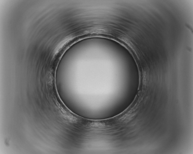 X0000100411115200806131030