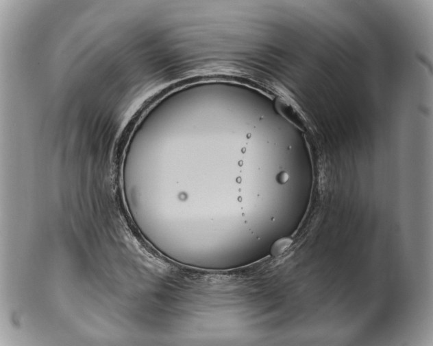 X0000100411116200806131030