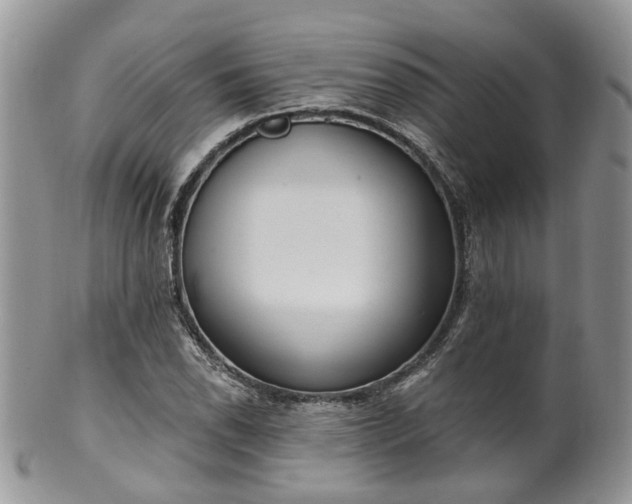 X0000100411118200806131030