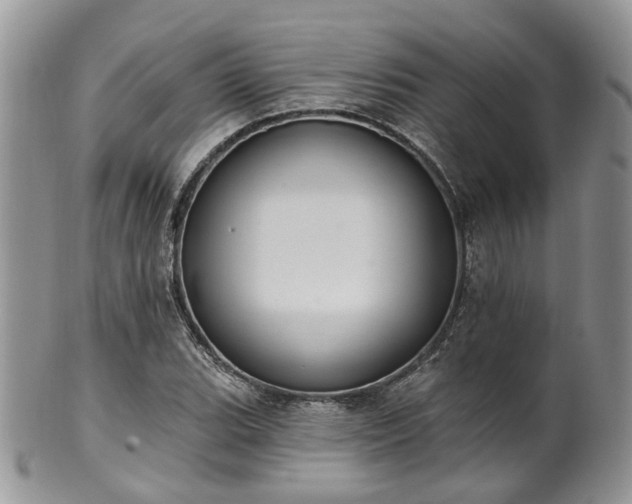 X0000100411119200806131030