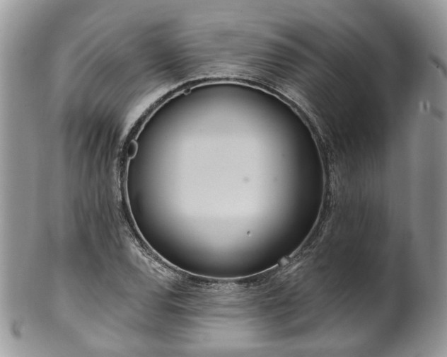 X0000100411120200806131030