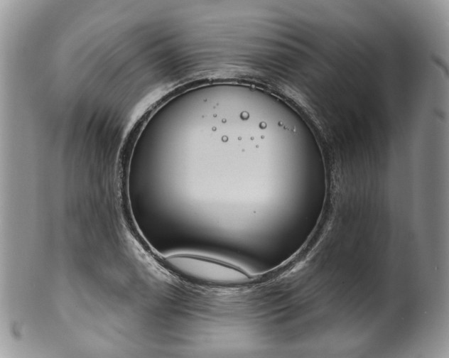 X0000100411122200806131030