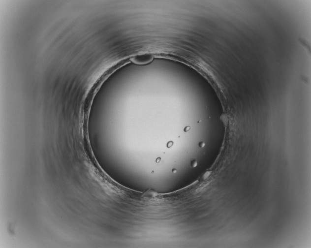 X0000100411124200806131030