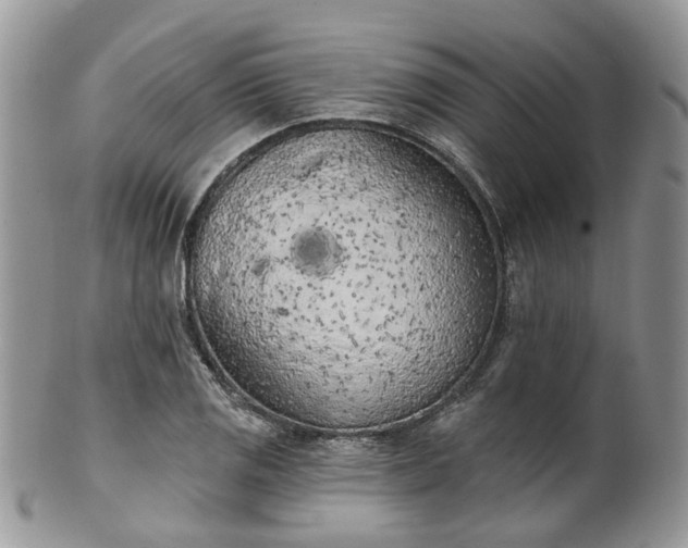 X0000100411125200806131030