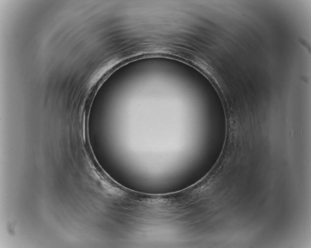 X0000100411127200806131030