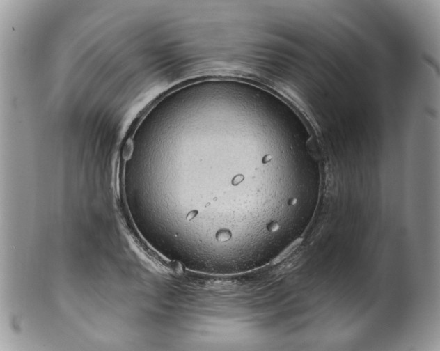 X0000100411128200806131030