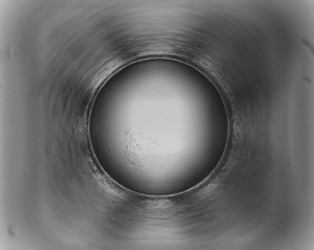 X0000100411129200806131030