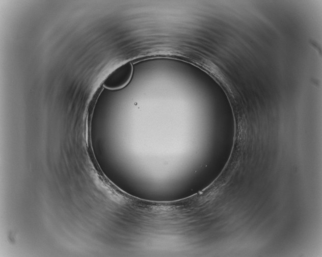 X0000100411132200806131030