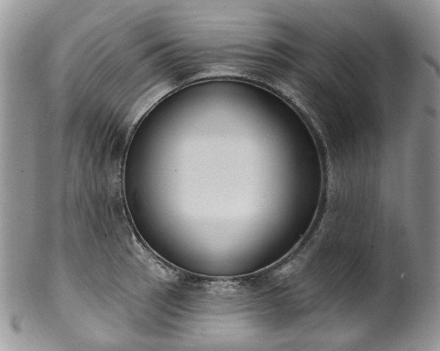 X0000100411137200806131030