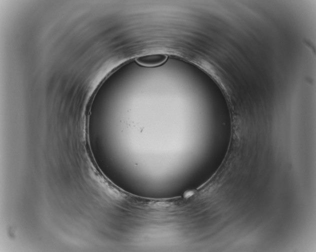 X0000100411140200806131030