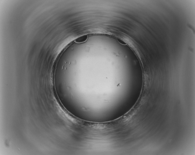 X0000100411141200806131030