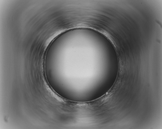 X0000100411142200806131030