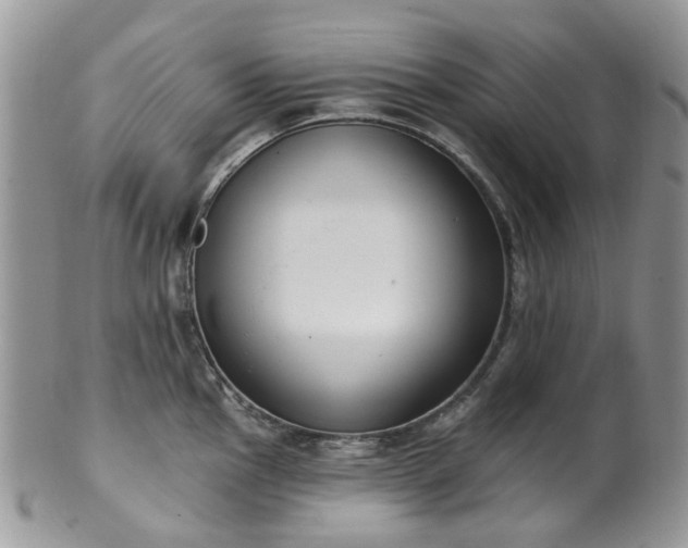 X0000100411145200806131030