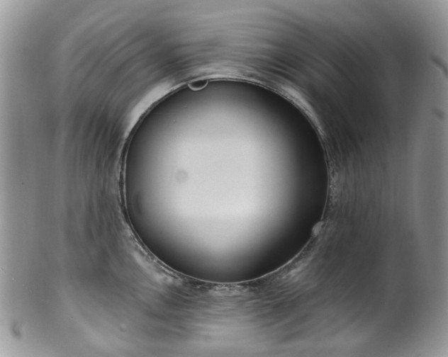 X0000100411146200806131030