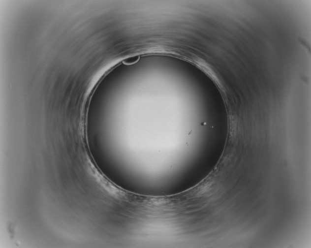 X0000100411148200806131030