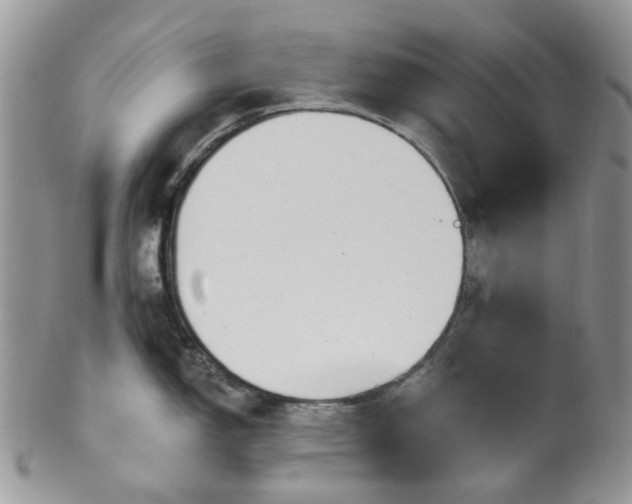 X0000100411150200806131030