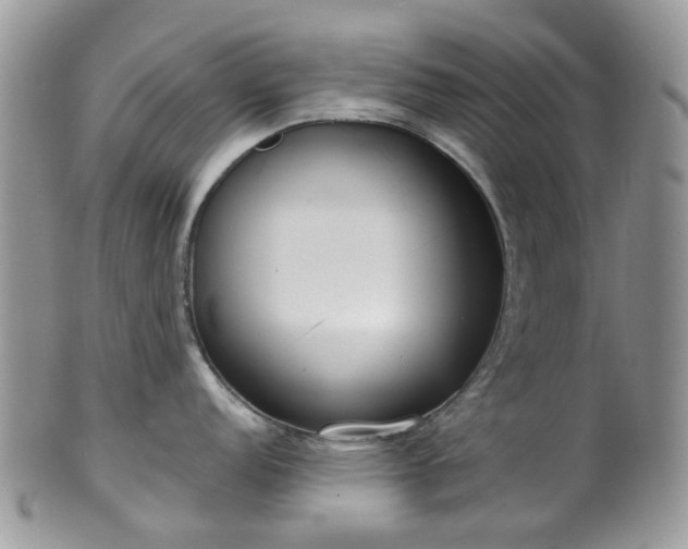 X0000100411152200806131030