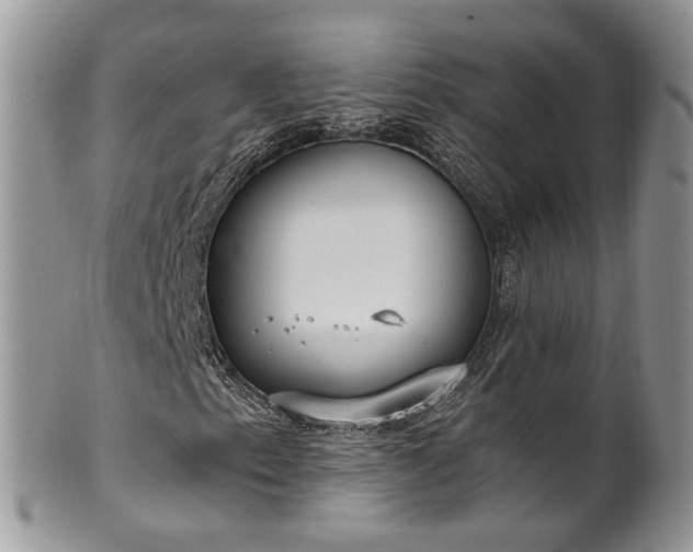 X0000100411153200806131030