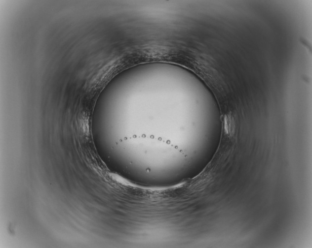 X0000100411155200806131030