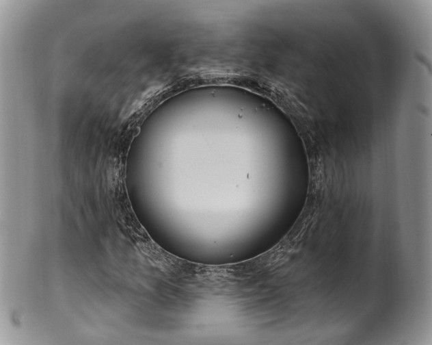 X0000100411157200806131030