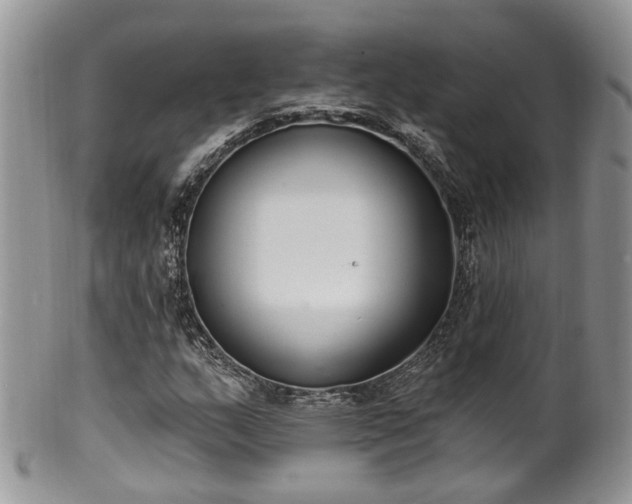 X0000100411159200806131030