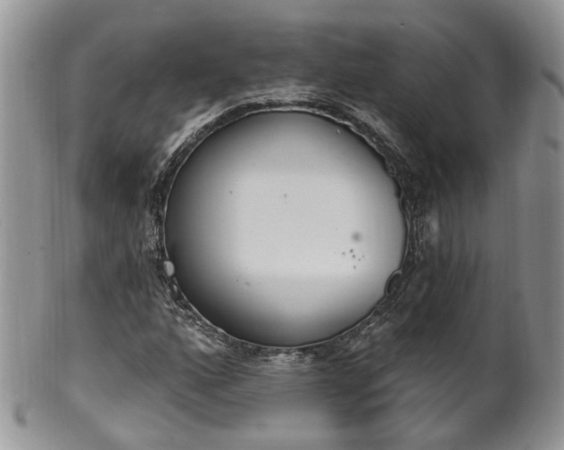 X0000100411160200806131030