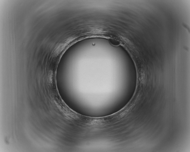 X0000100411161200806131030