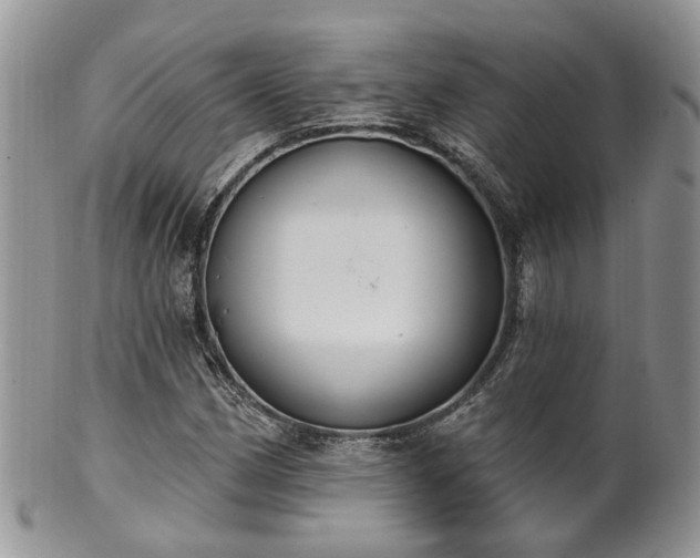 X0000100411162200806131030