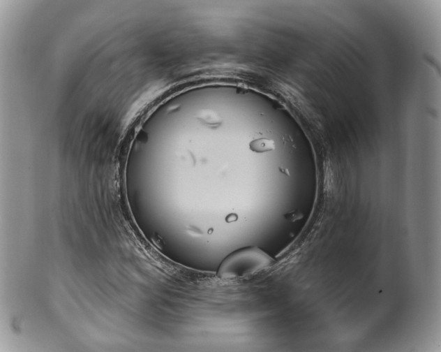 X0000100411164200806131029