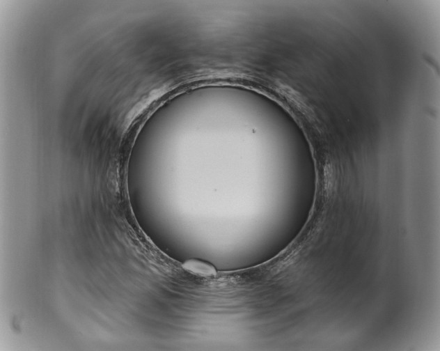 X0000100411165200806131029