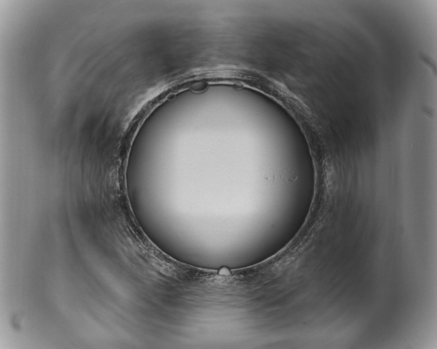 X0000100411166200806131029