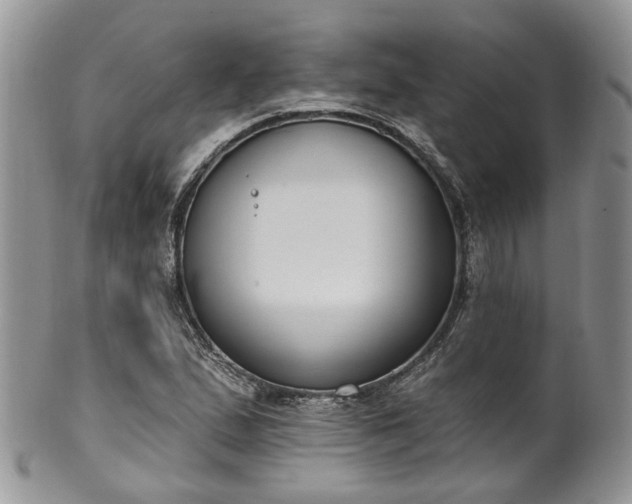 X0000100411167200806131029