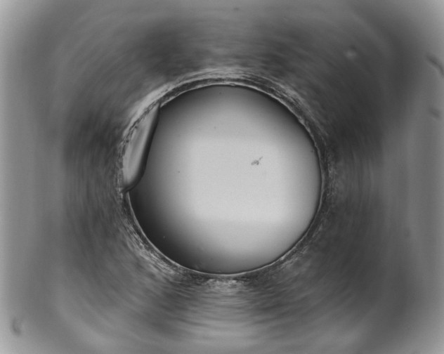 X0000100411168200806131029