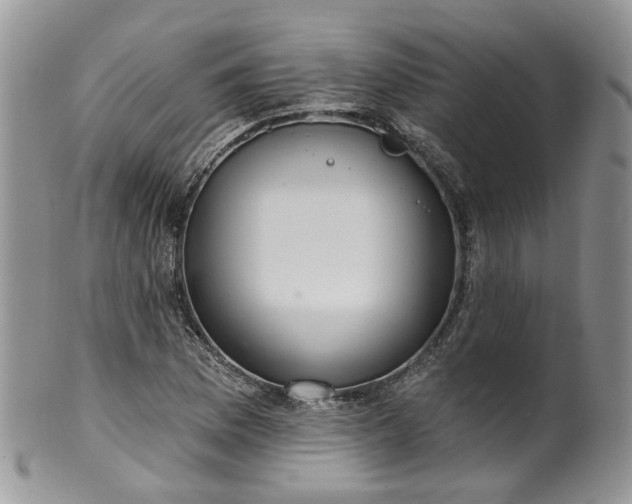 X0000100411169200806131029