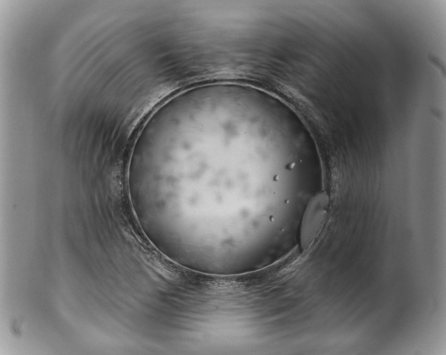 X0000100411170200806131029