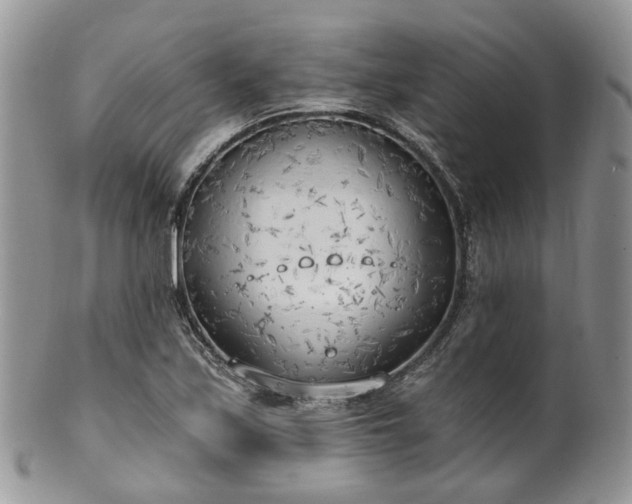 X0000100411171200806131029