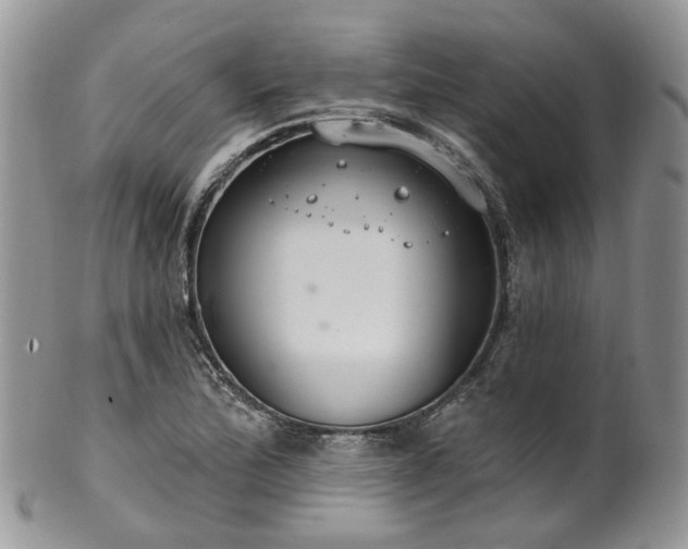 X0000100411172200806131029