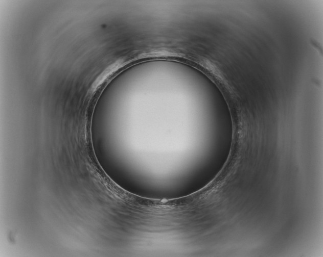 X0000100411173200806131029