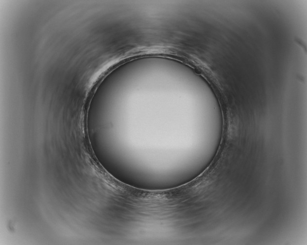 X0000100411174200806131029