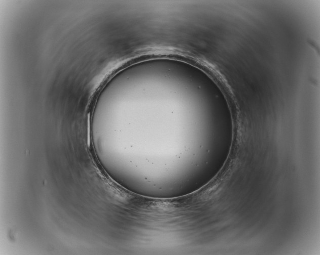 X0000100411175200806131029