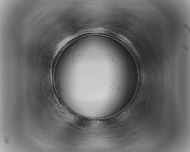 X0000100411176200806131029