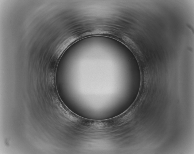 X0000100411177200806131029