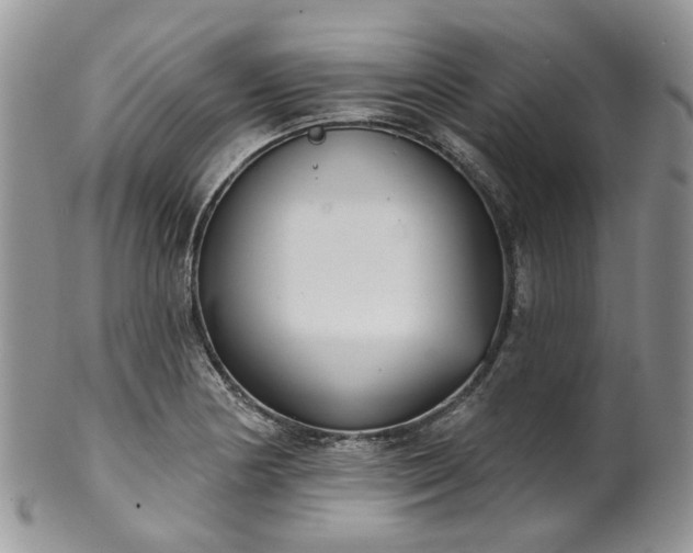 X0000100411178200806131029