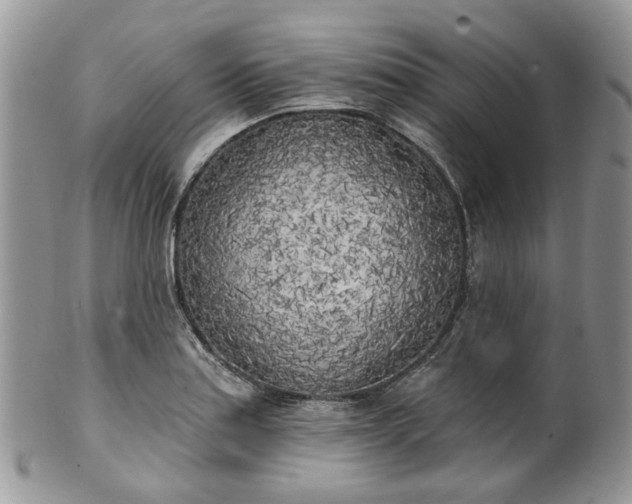 X0000100411179200806131029