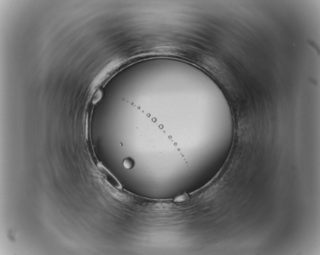 X0000100411180200806131029