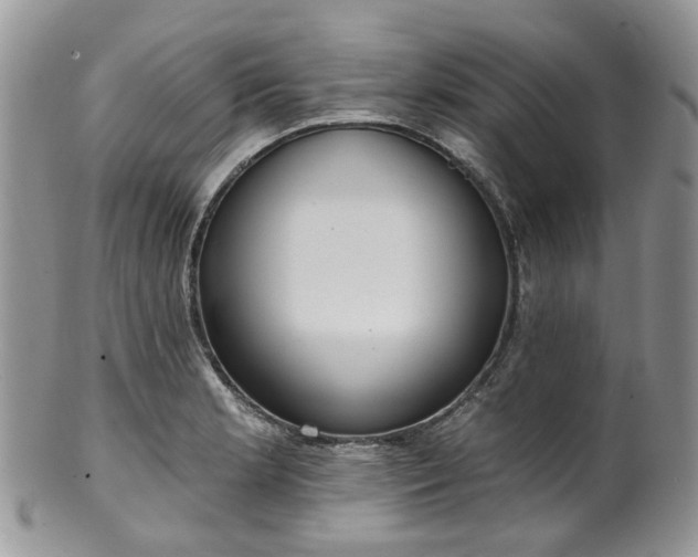 X0000100411181200806131029